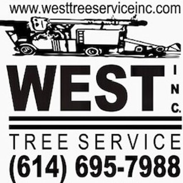 West Tree Service